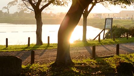 Top marks for City's climate reporting and action 